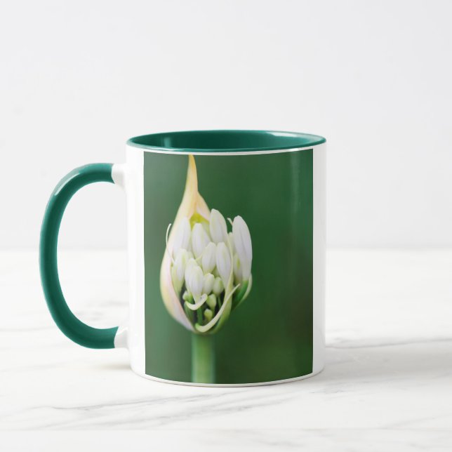 Mug Lis d'Afrique, Agapanthus Praecox, Cape Town (Gauche)