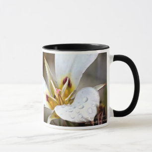 Mug Lis de Sego