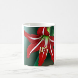 Mug Lis rouge