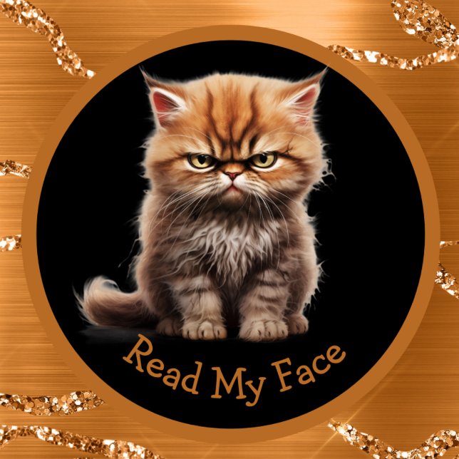 Mug Lisez Mon Visage Ou Votre Texte Orange Tabby Chat (Créateur téléchargé)