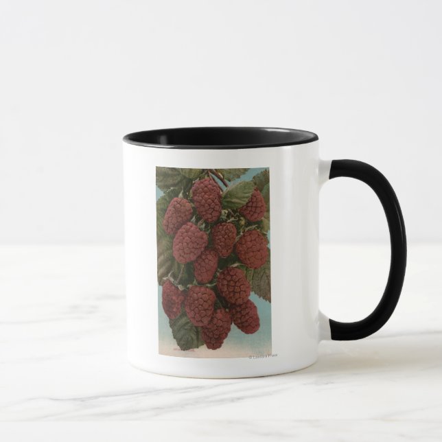 Mug Lithographie de Chromo de Fruit de LoganberriesÉta (Droite)
