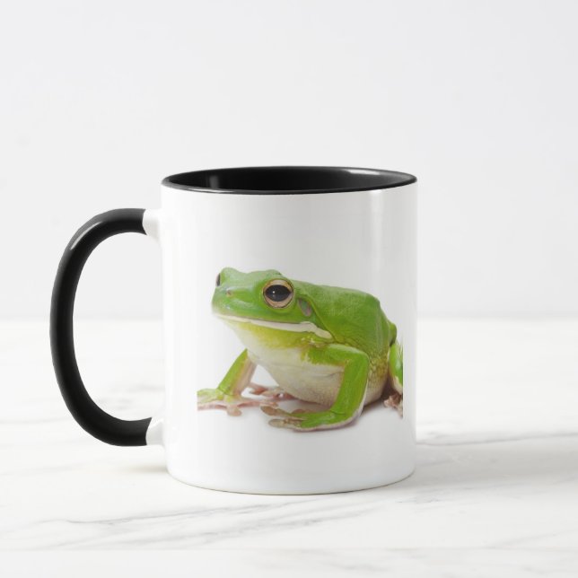Mug Litora Infrafrenata, grenouille (Gauche)