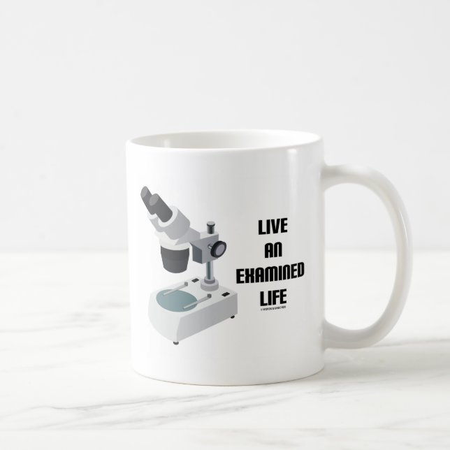 Mug Live An Examiné Life Comound Microscope (Droite)