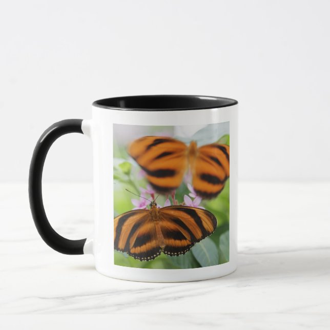 Mug Long papillon 2 d'aile de zèbre (Gauche)