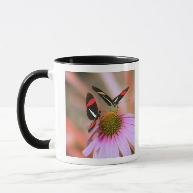 Mug l'Orégon, Etats-Unis 3 (Gauche)