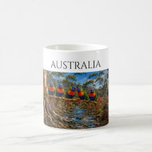 Lorikeet Arc-en-Ciel et Ruisseau d'Échidné d'Austr