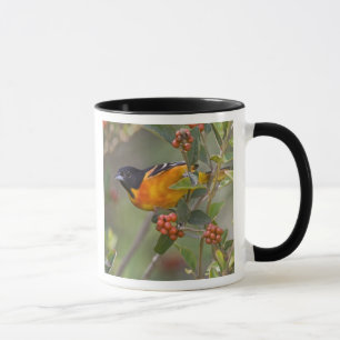 Mug Loriot de Baltimore