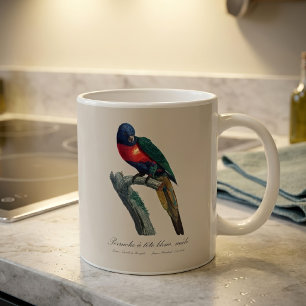 Mug Loriquet arc-en-ciel mâle, Trichoglossus moluccanu