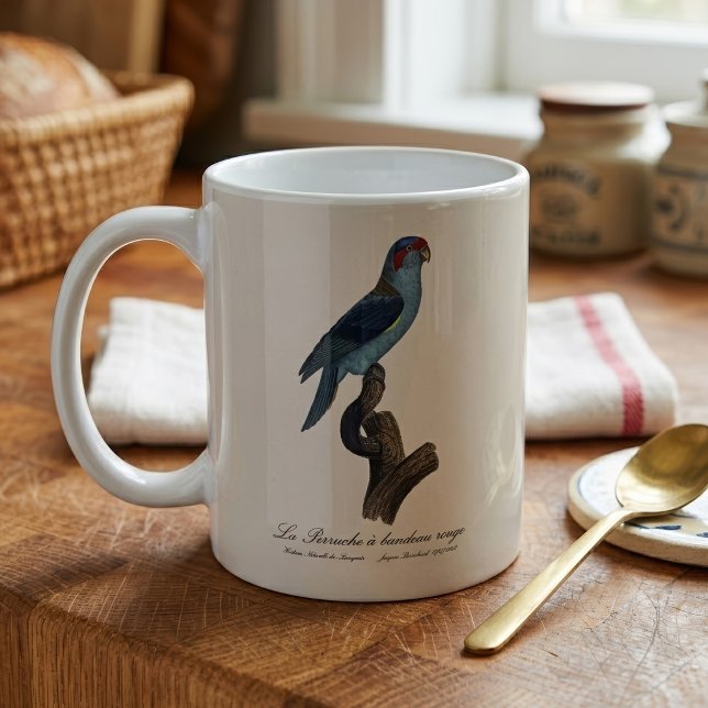 Mug Loriquet Musqué, Trichoglossus concinnus (Musk Lorikeet, Trichoglossus Concinnus. Coffee Mug)