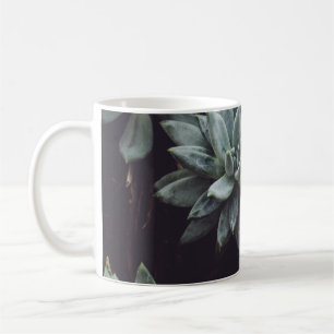 MUG LOT DE PLANTE SUCCULENT DE COULEUR ASSORTIE