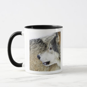 Mug Loup