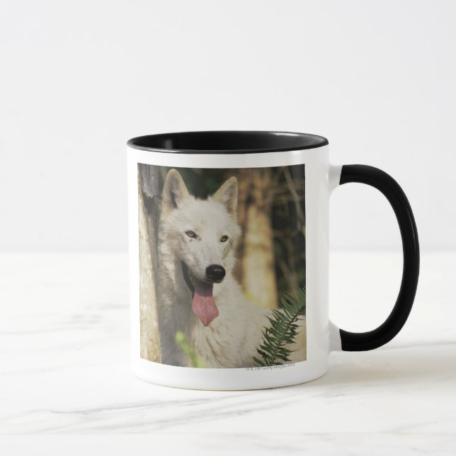 Mug Loup arctique dans la forêt (Droite)