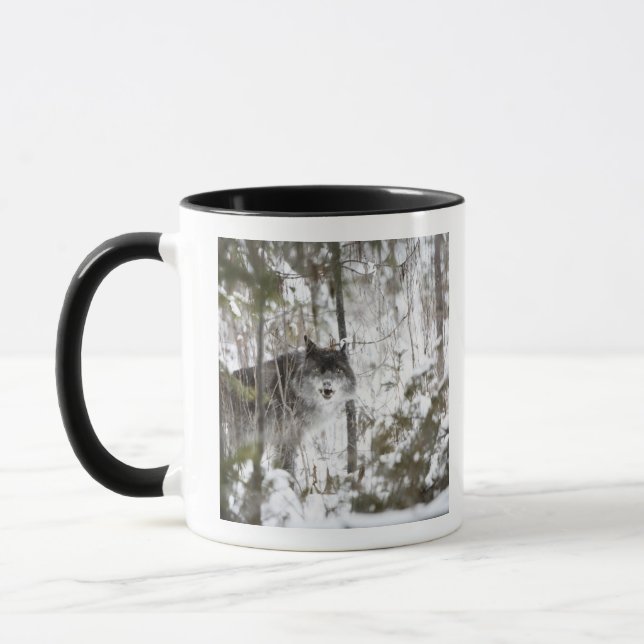 Mug Loup dans la forêt en hiver (Gauche)