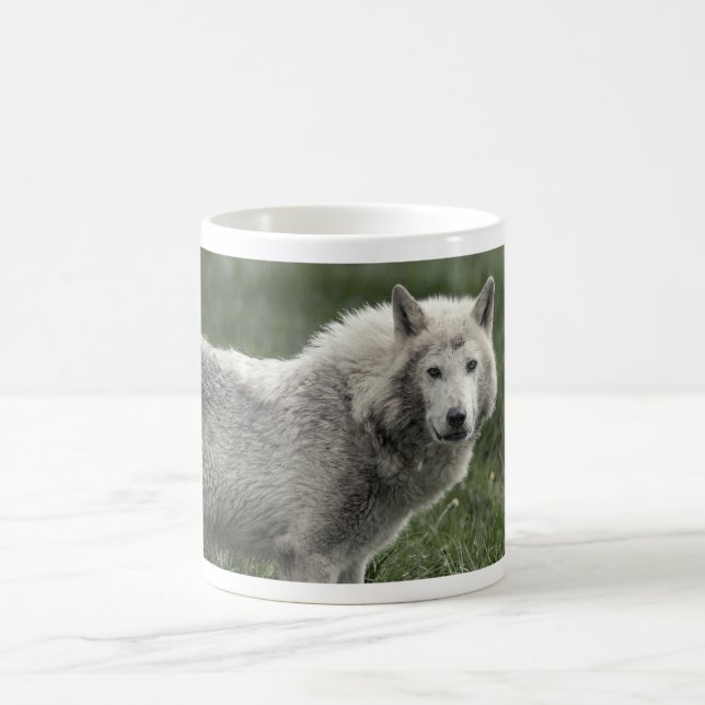 Mug Loup de bois (Centre)