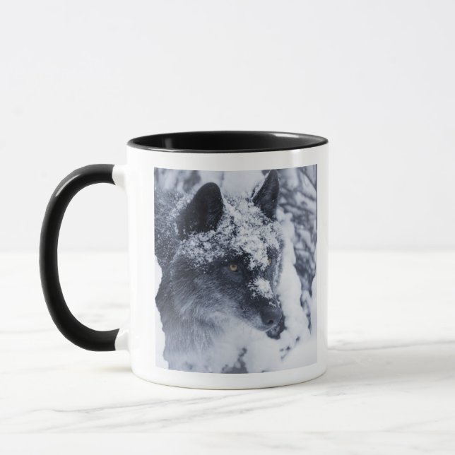 Mug Loup solitaire dans la neige (Gauche)