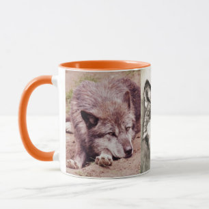 Mug Loups Animal Animaux Sauvage Nature Forêt