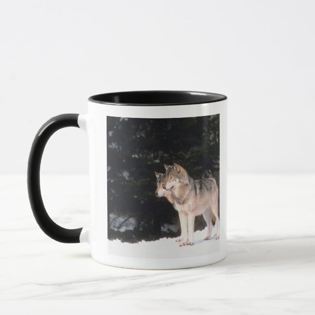 Mug Loups gris (Gauche)