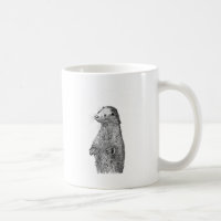 Loutre