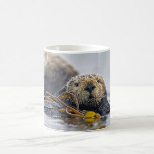 Mug Loutre de mer de la Californie