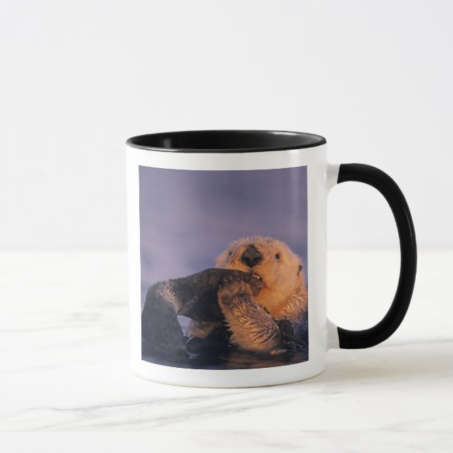 Mug Loutre de mer, Enhydra lutris (Droite)