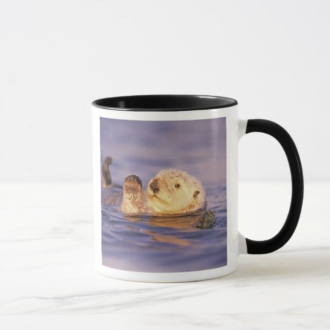 Mug Loutres de mer, Enhydra lutris (Droite)