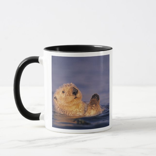 Mug Loutres de mer, Enhydra lutris 2 (Gauche)