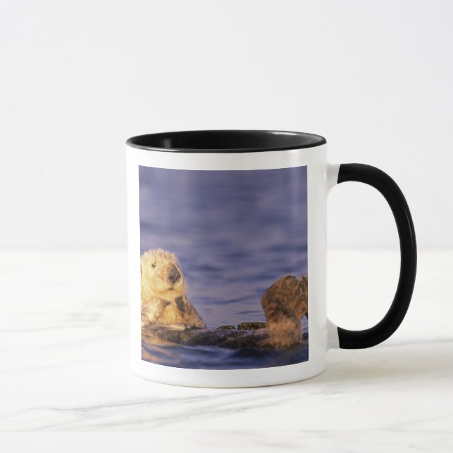 Mug Loutres de mer, Enhydra lutris 4 (Droite)