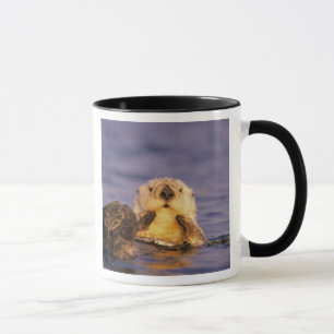 Mug Loutres de mer, Enhydra lutris 5