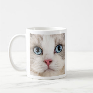 Mug Love Coffee and Cats Photo