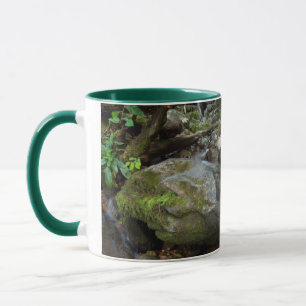 Mug Lower Dark Hollow Falls, Shenandoah