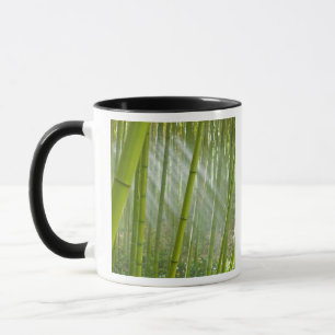 Mug Lumière du matin filtrant à travers le bambou