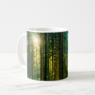 Mug Lumière Du Soleil À Travers Les Arbres Forestiers
