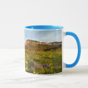 Mug Lumières du lever du soleil Blackleaf Canyon