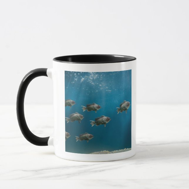Mug L'une Mer Noire basse menant une école (Gauche)