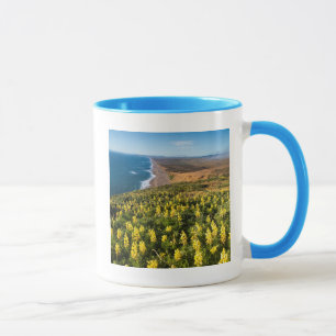 Mug Lupin jaune au-dessus de la plage de Point Reyes à