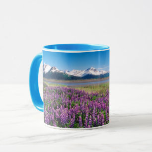 Mug Lupines en fleur   Kenai Mountains, Alaska