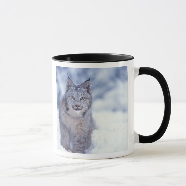 Mug Lynx dans la neige au pied des collines (Droite)