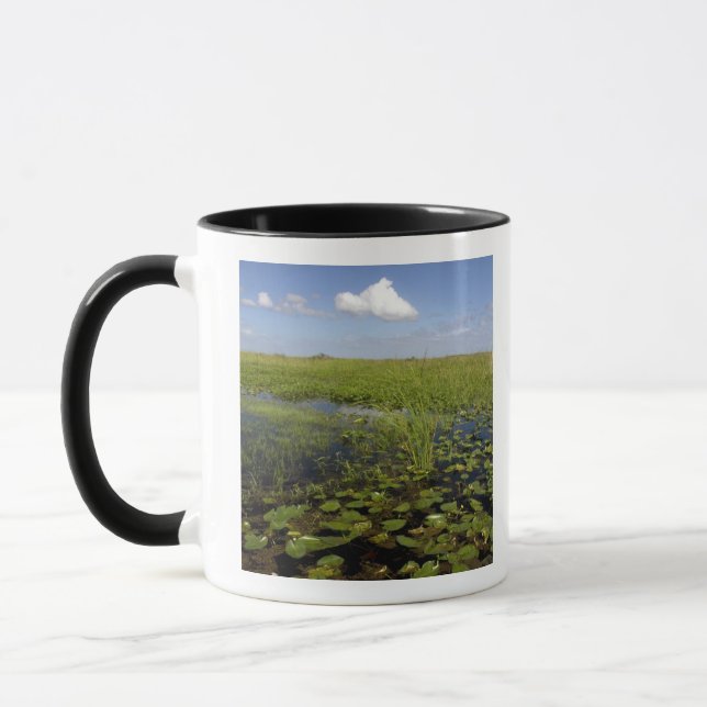 Mug Lys d'eau et gazon de scie en Floride (Gauche)