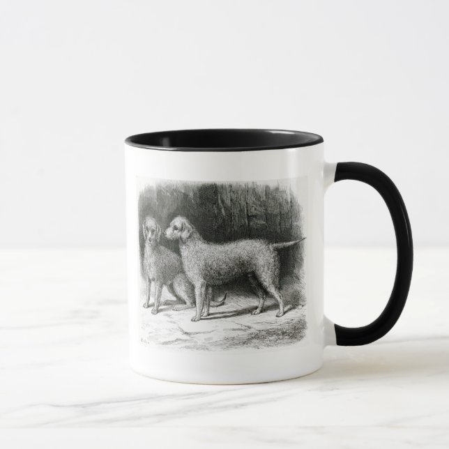 Mug M.F. Armstrong de chiens terriers de Bedlington (Droite)