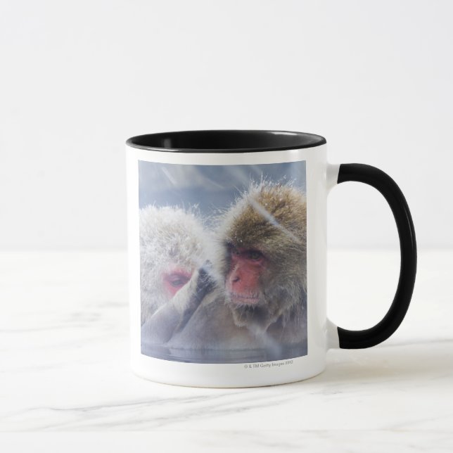 Mug Macaques japonais (fuscata de Macaca) se (Droite)