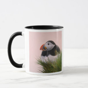Mug Macareux atlantique (Fratercula arctica)