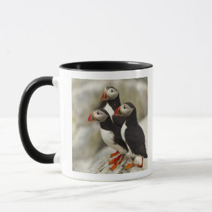 Mug Macareux atlantiques sur l'île Machias Seal