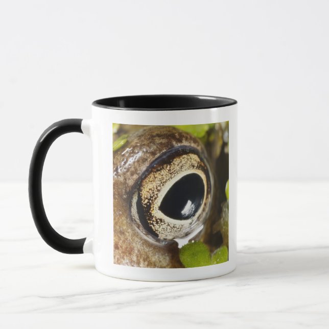Mug Macro ; Horizontal ; Couleur ; Couleur ; Personne (Gauche)