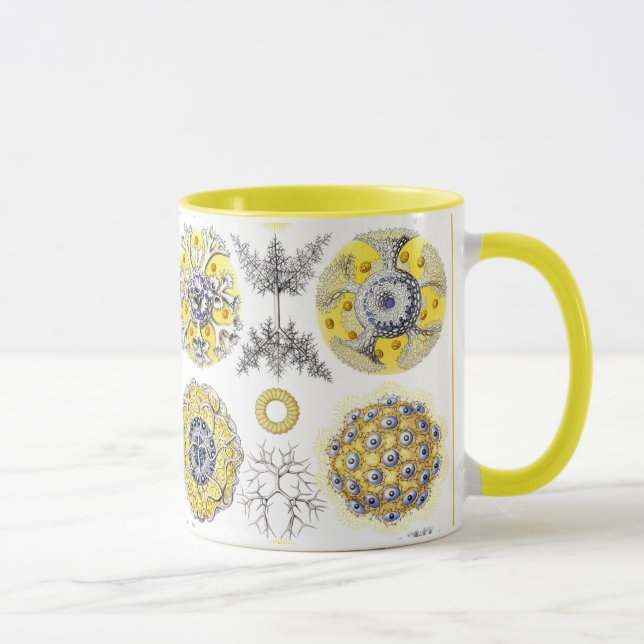 Mug Macro Sea Creatures Amoeba (Droite)