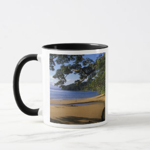 Mug Madagascar, Réserve spéciale de Nosy Mangabe, sur