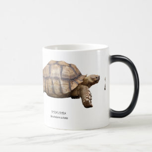 MUG MAGIC