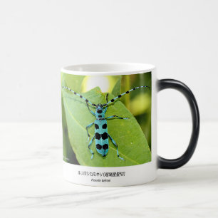 MUG MAGIC