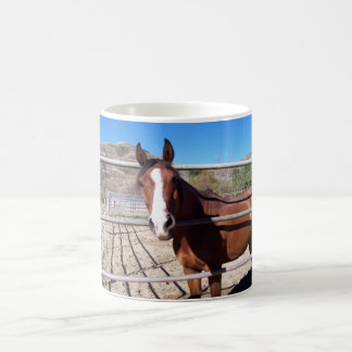 Mug Magic abu