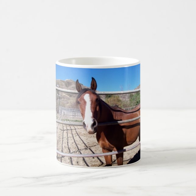 Mug Magic abu (Centre)