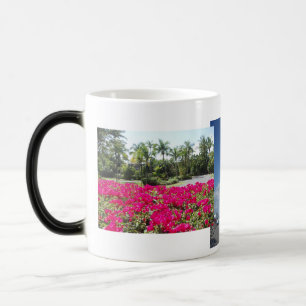 Mug Magic Baie de Caneel, St John, USVI